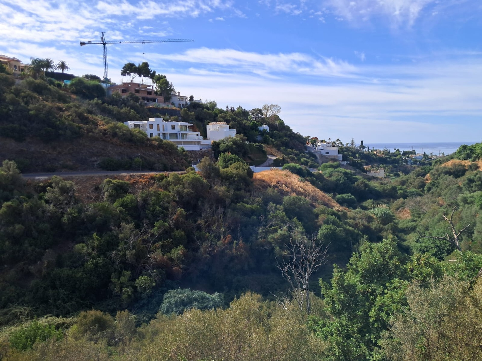 Plot in El Rosario
