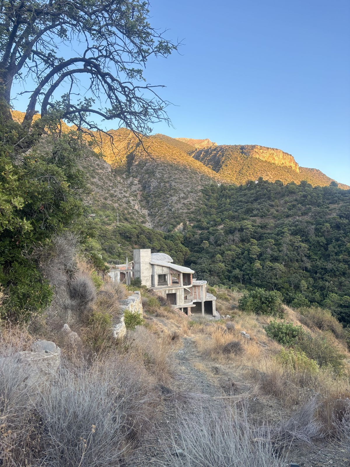 30,000 m² Plot in Istán - Photo 18