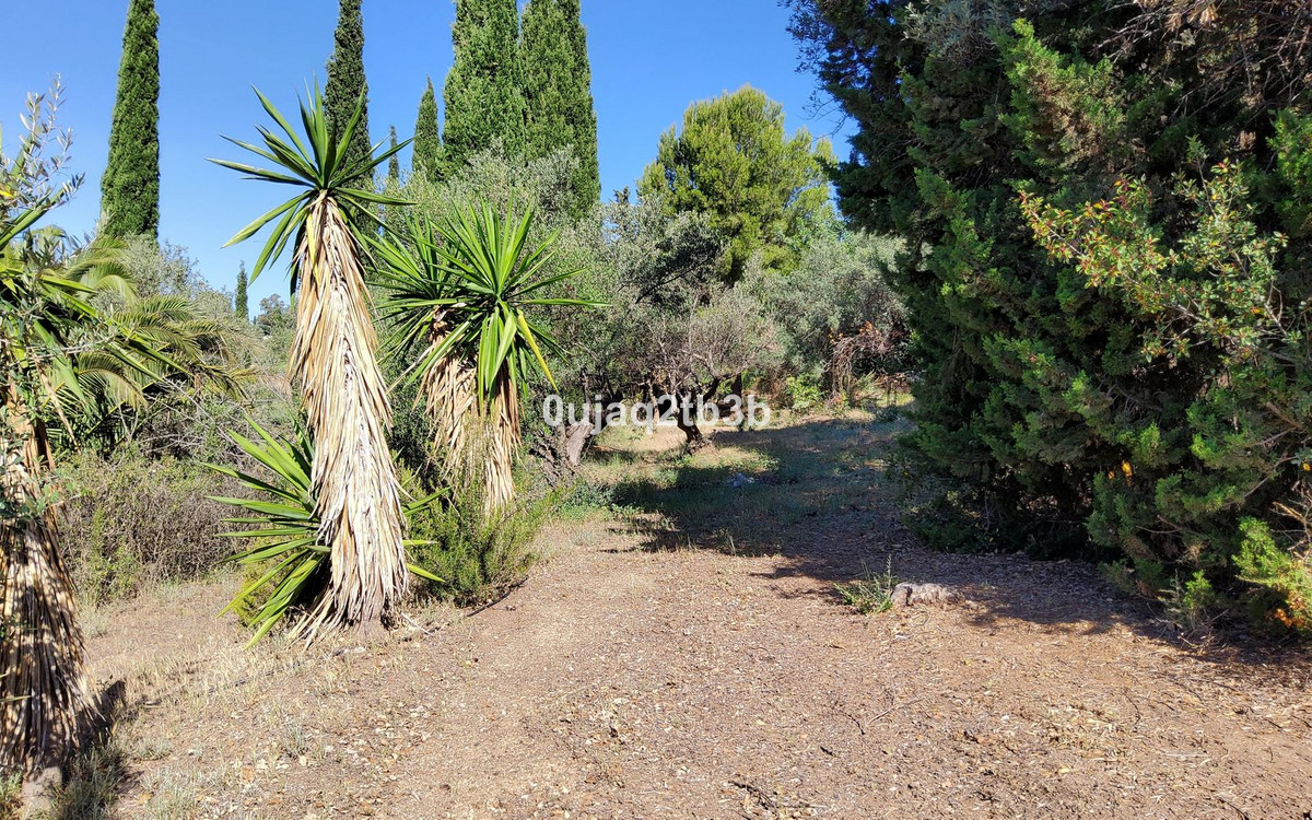 6 Bedroom Country house in Mijas - Фото 16