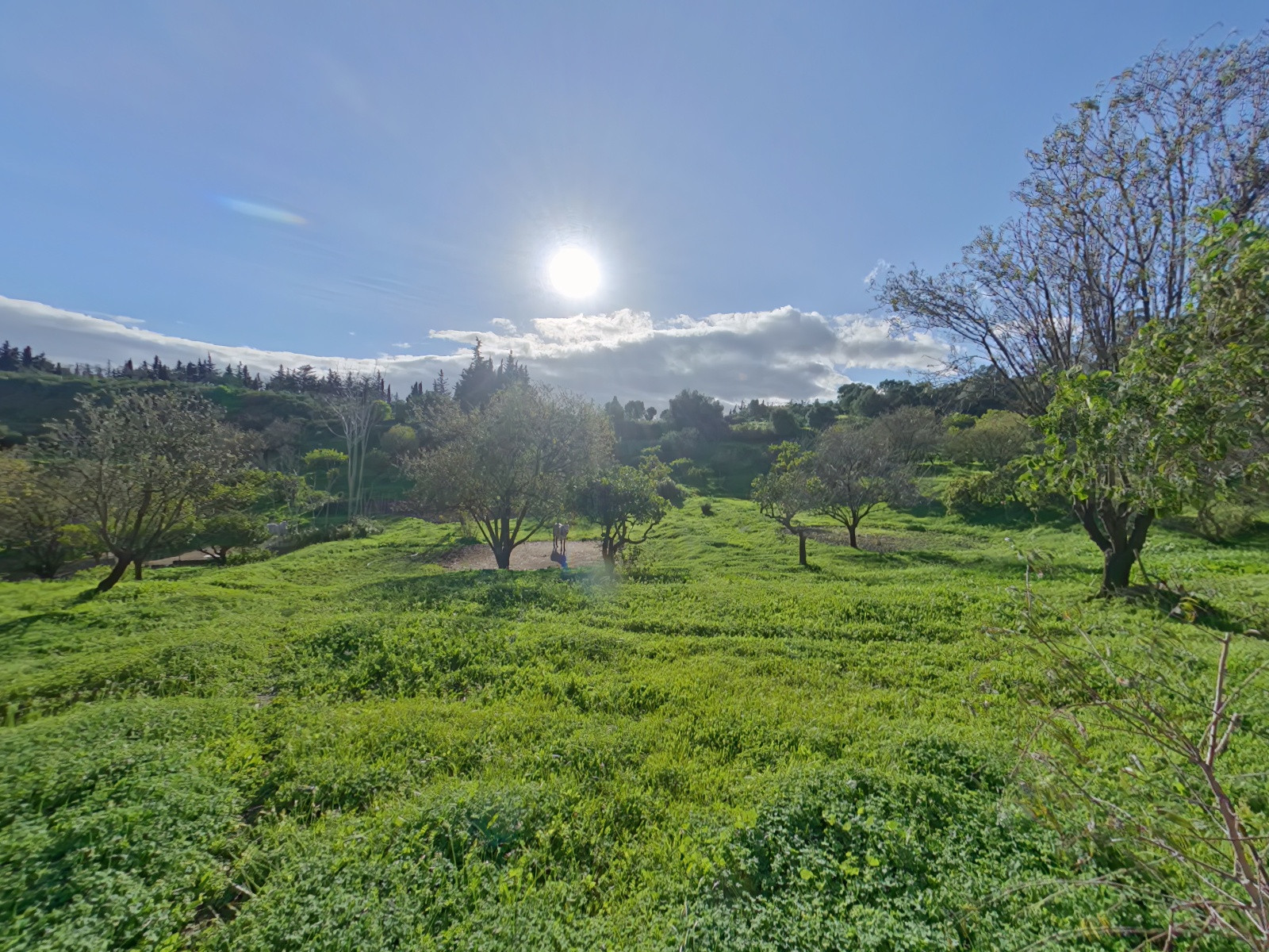 4 Bedroom Country house in Estepona - Фото 29