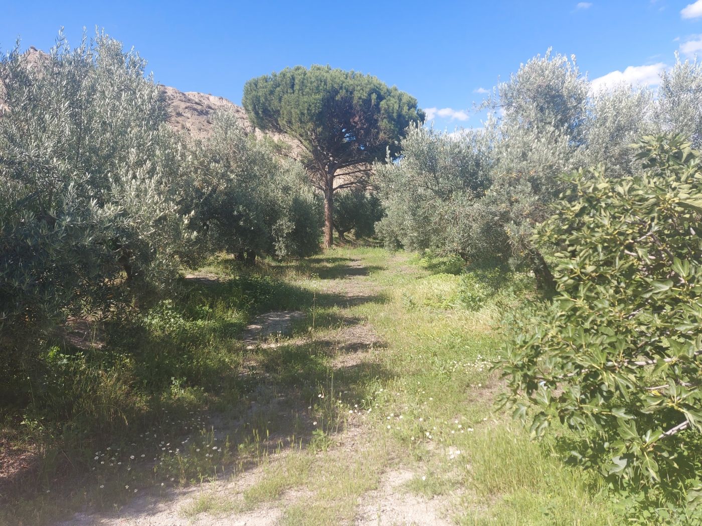 Moradia com 1 quarto em Granada, Espanha – Foto 4