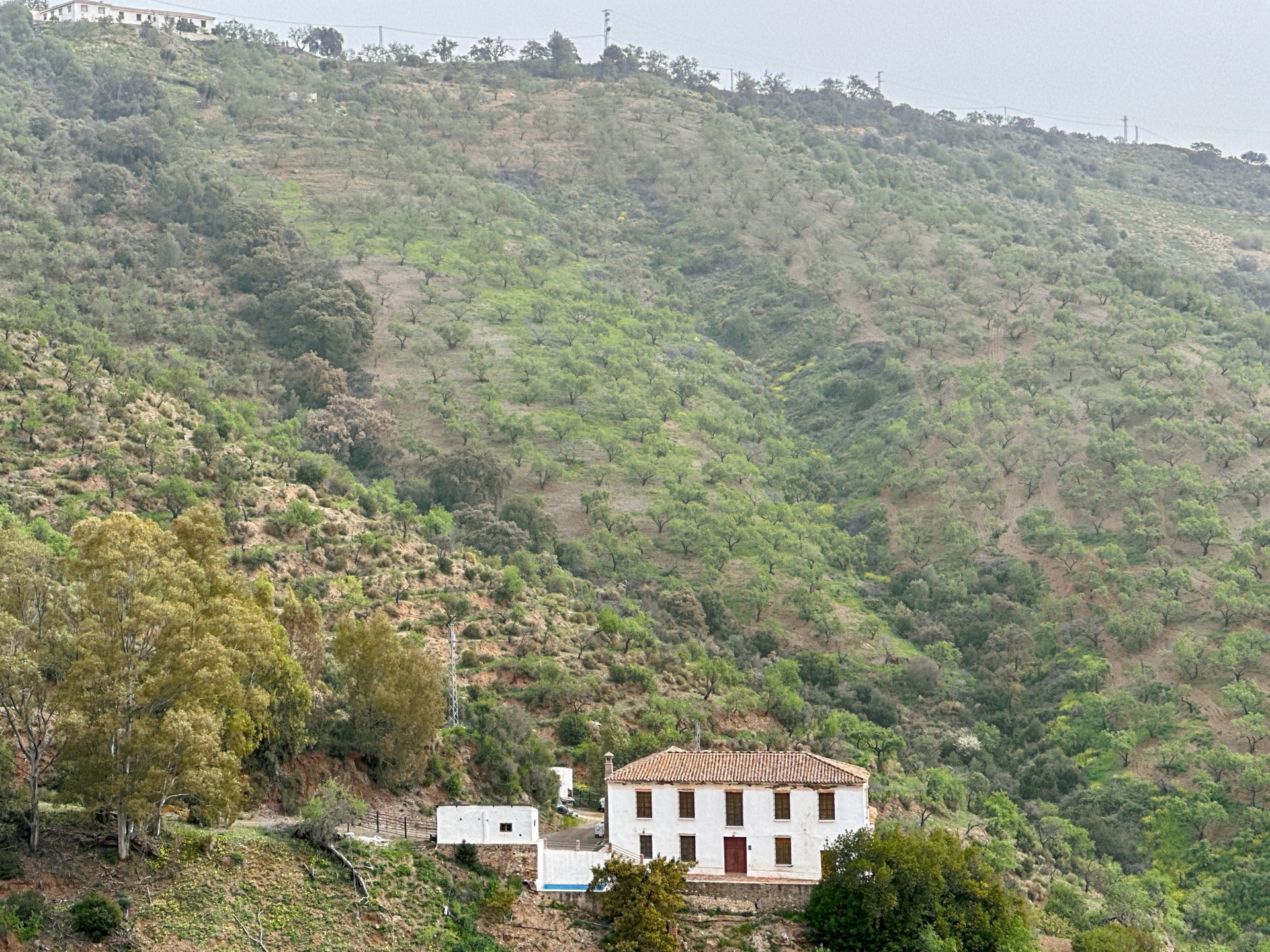 8 Bedroom Country house in Málaga - Photo 6