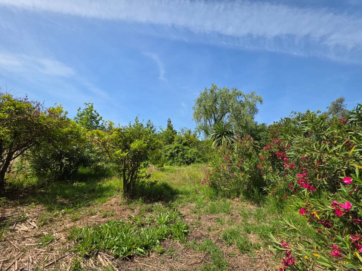 4 Bedroom Country house in Alhaurín el Grande - Photo 75