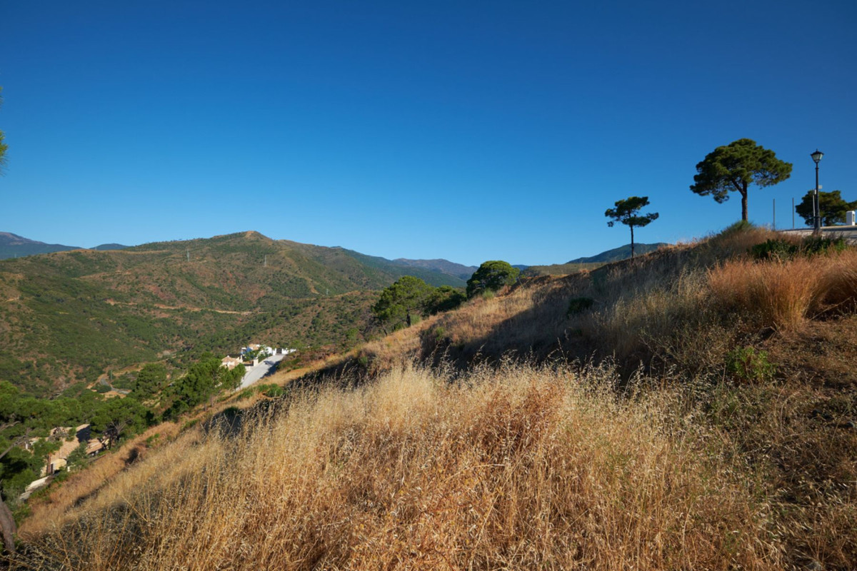 35,141 m² Plot in Estepona - Photo 2