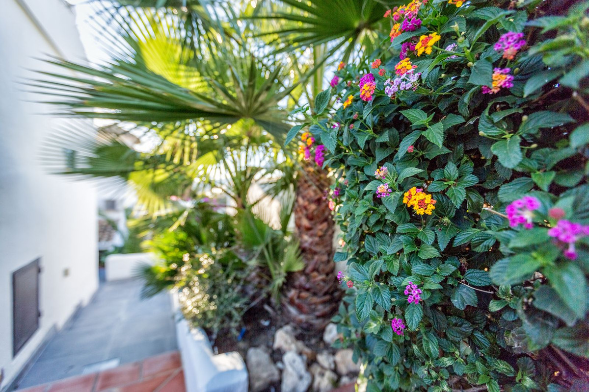 5 Bedroom Villa in Mijas - Photo 48