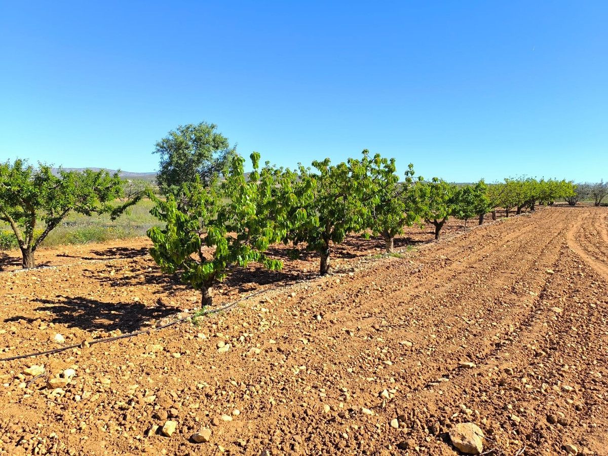 Villa de 4 chambres à Murcie, Espagne – Photo 19