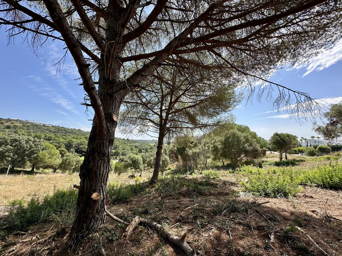 3,455 m² Plot in Sotogrande - Photo 6