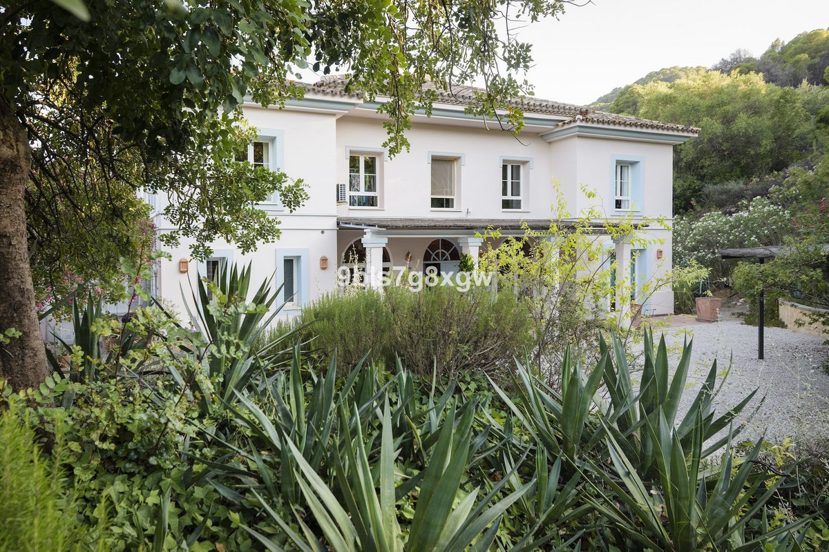 9 Bedroom Country house in Gaucín - Photo 38