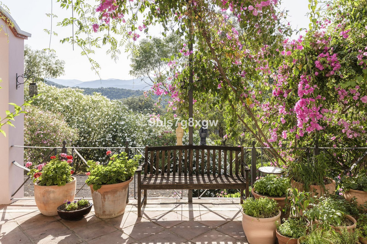 9 Bedroom Country house in Gaucín - Photo 16