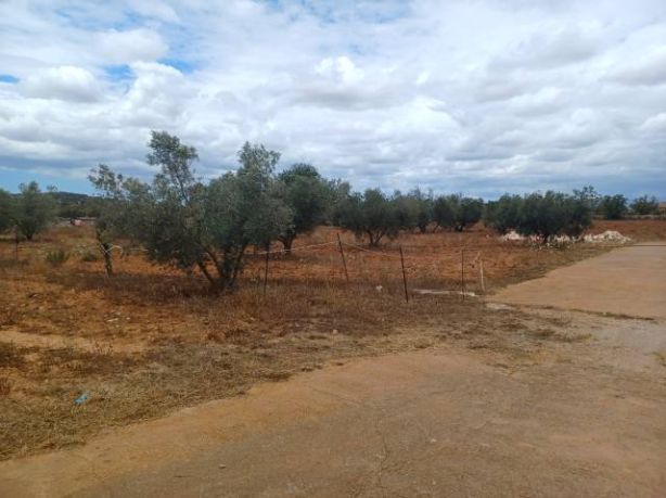 Moradia com 3 quartos com piscina em Baleares, Espanha – Foto 2