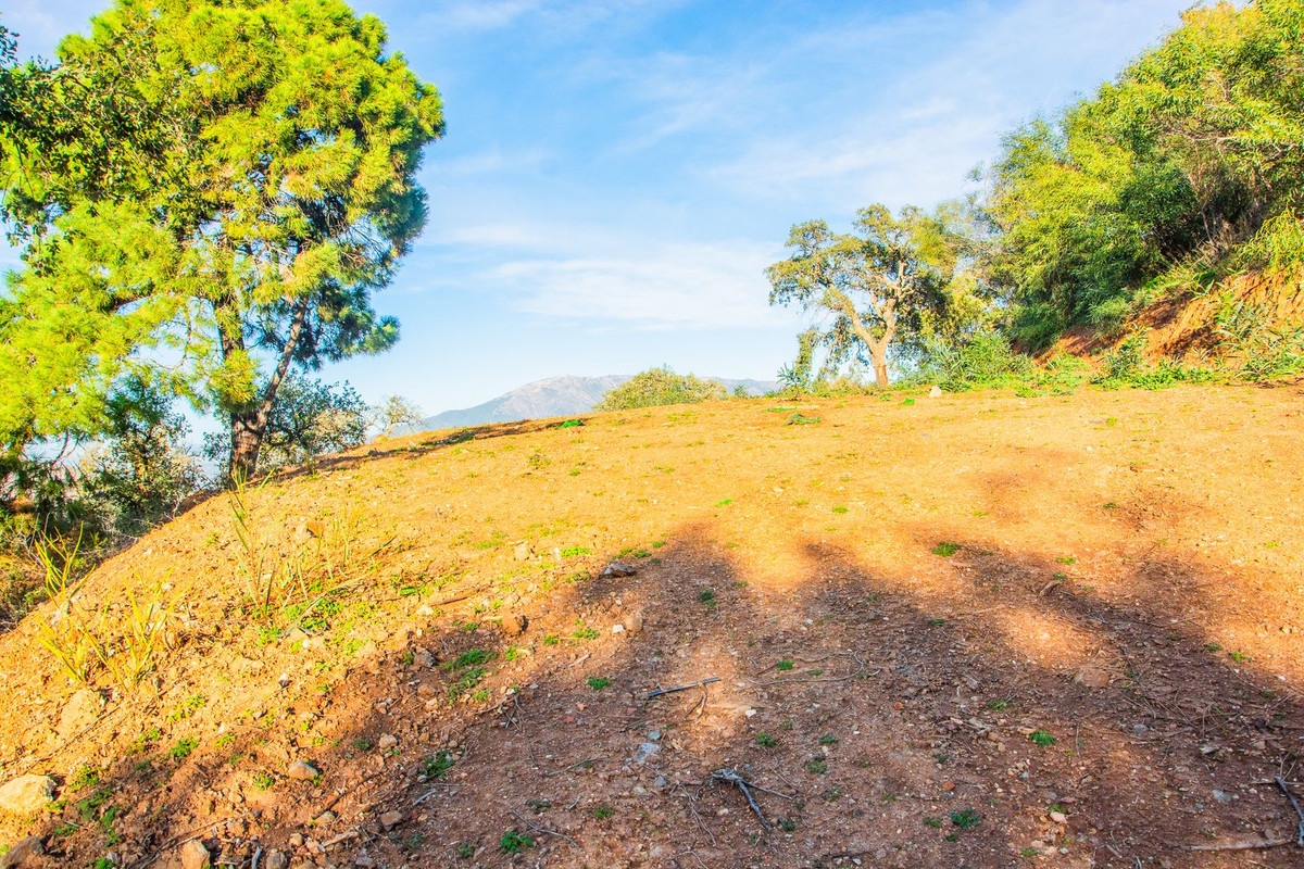 1,563 m² Plot in Marbella - Photo 8