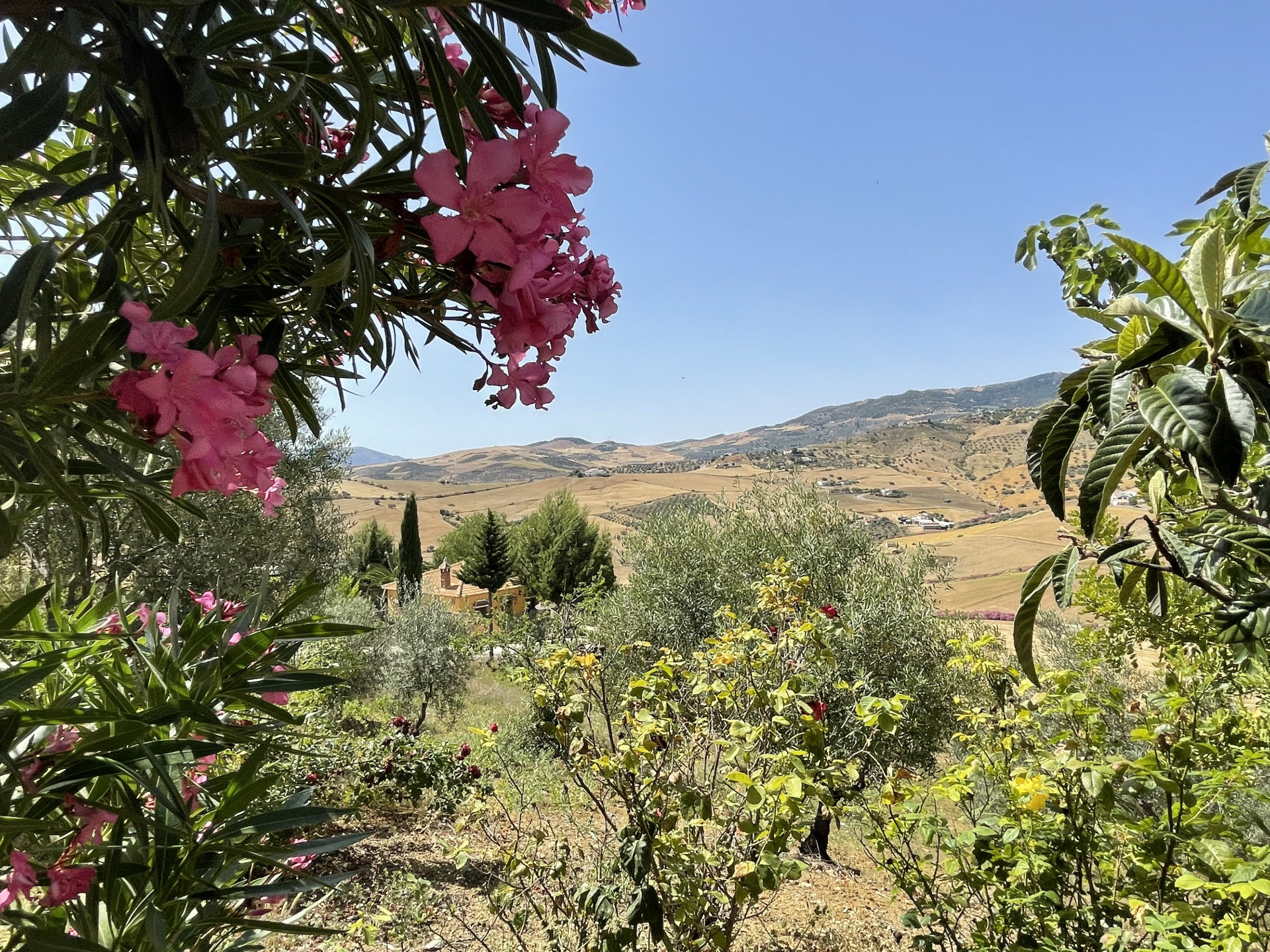 14 Bedroom Country house in Villanueva de la Concepción - Photo 47