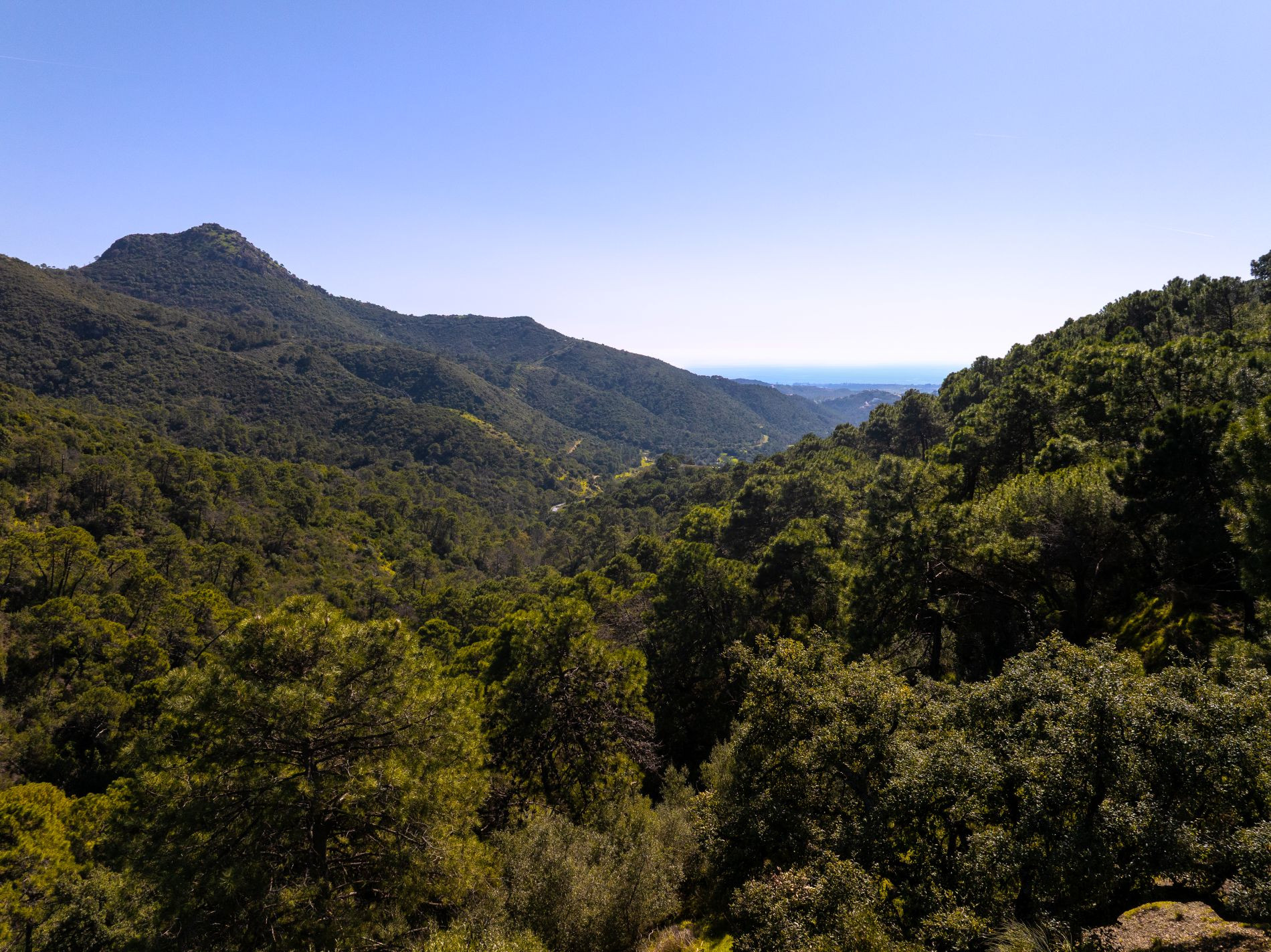 260,000 m² Plot in Benahavís - Photo 15