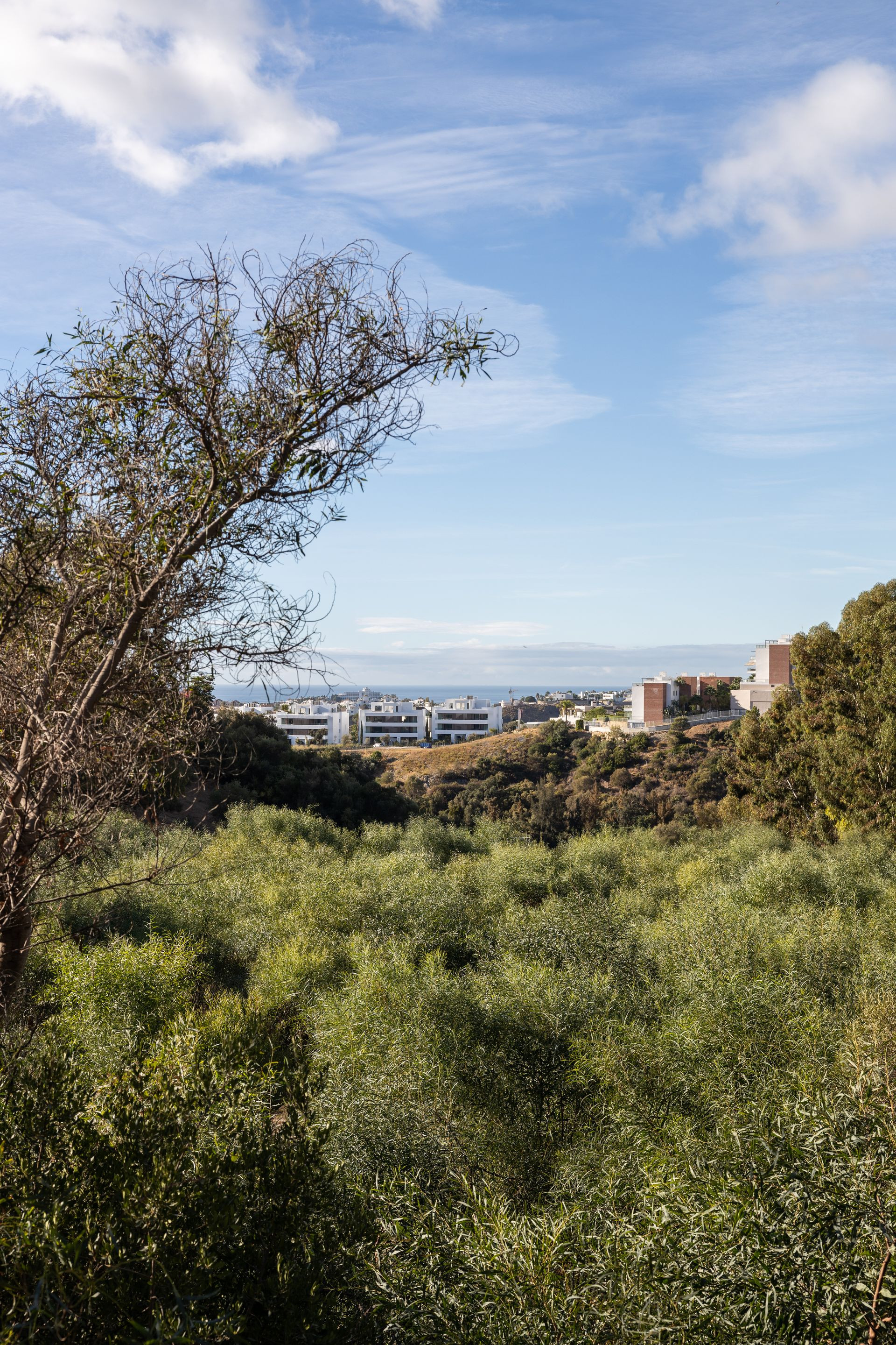 5,185 m² Plot in Benahavís - Photo 3