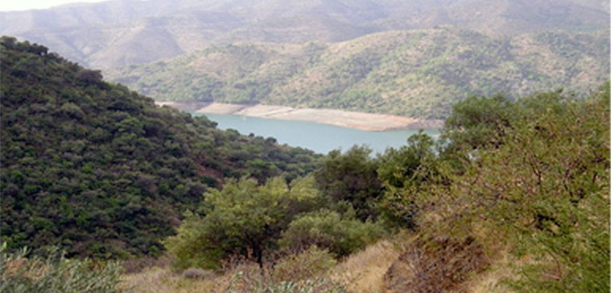 30,000 m² Plot in Istán - Photo 3