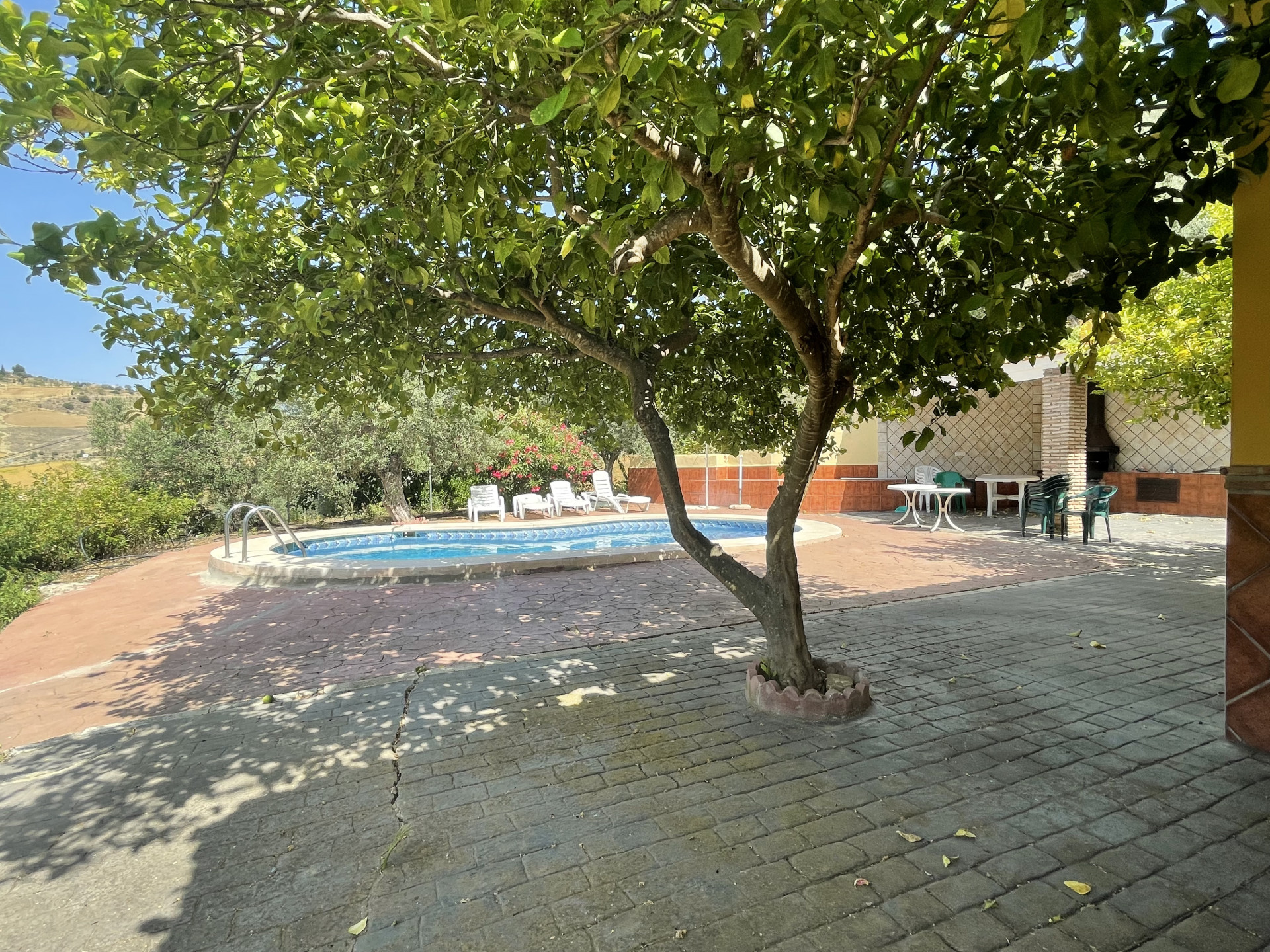 14 Bedroom Country house in Villanueva de la Concepción - Photo 6