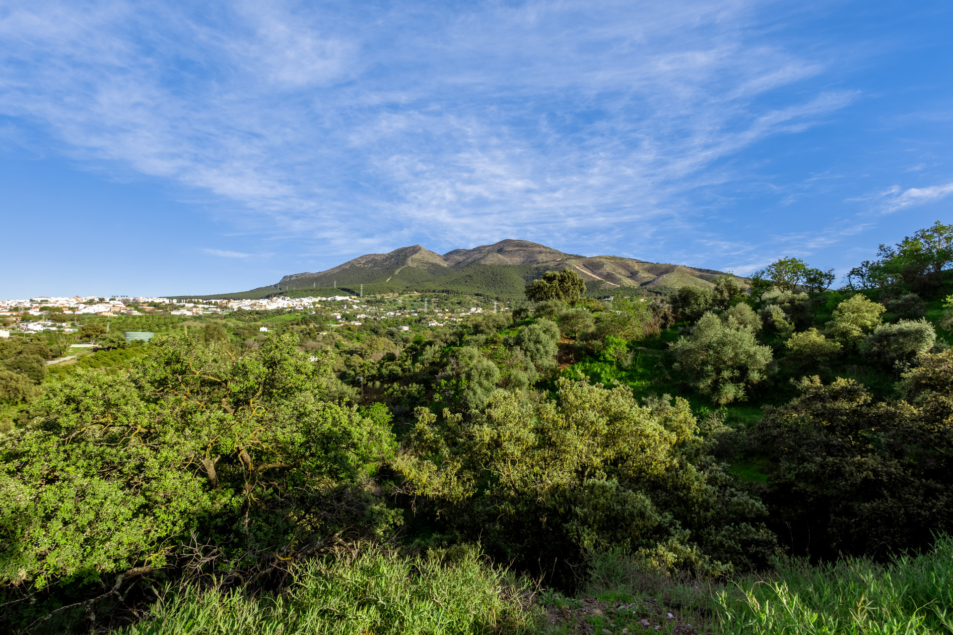 6 Bedroom Country house in Alhaurín el Grande - Photo 31