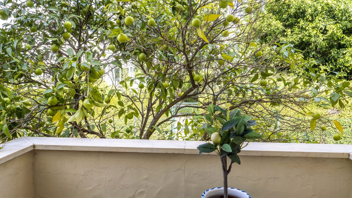 2 Bedroom Apartment in Estepona - Photo 22