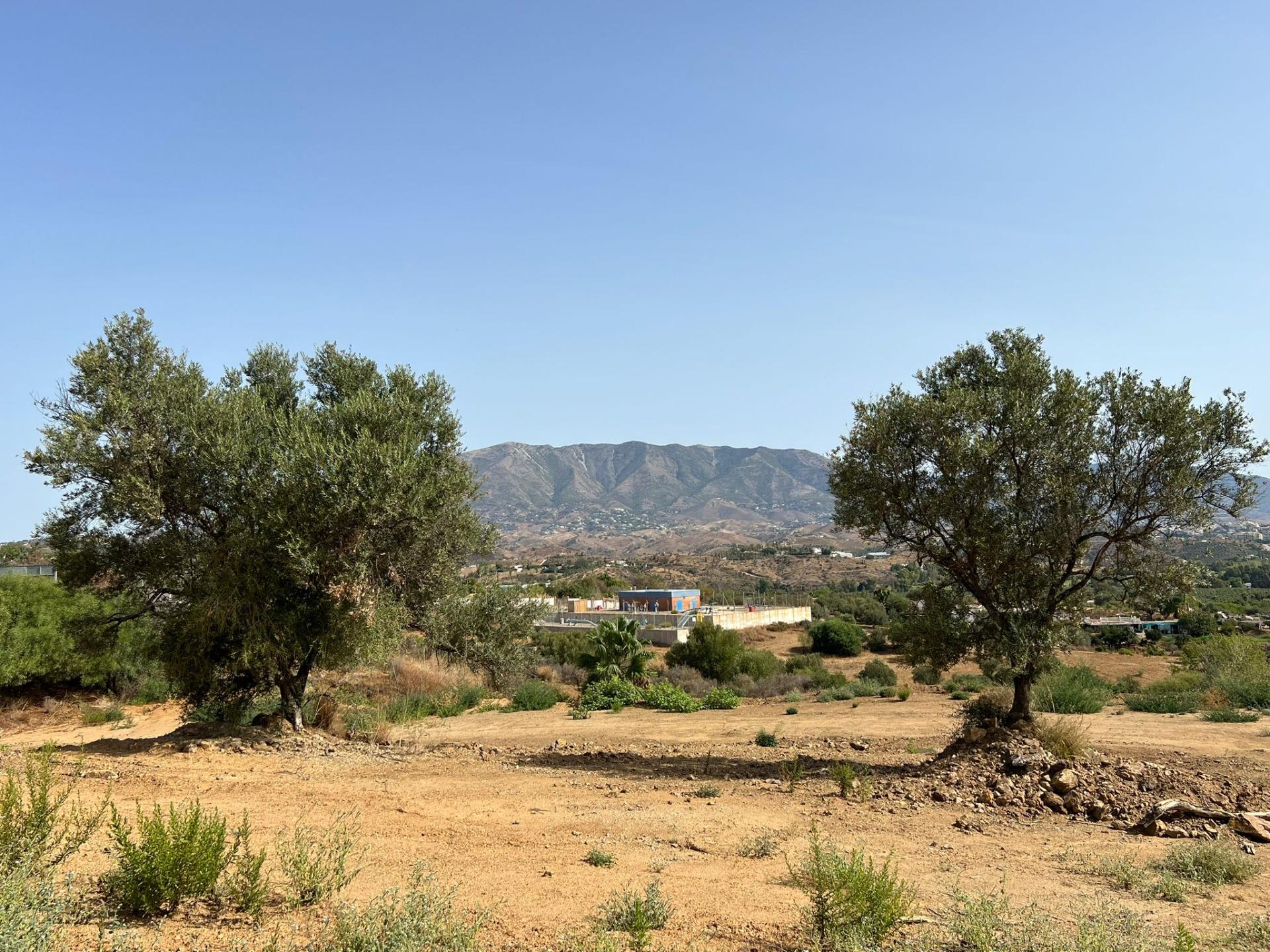 13,000 m² Plot in Mijas - Photo 8