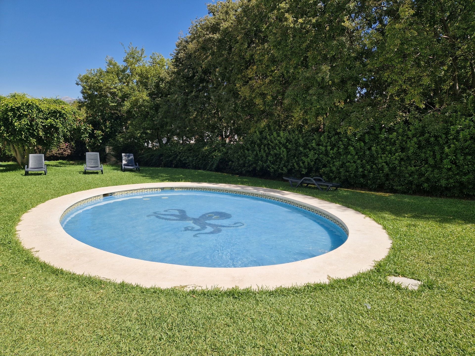 1 Bedroom Apartment in Marbella - Photo 17