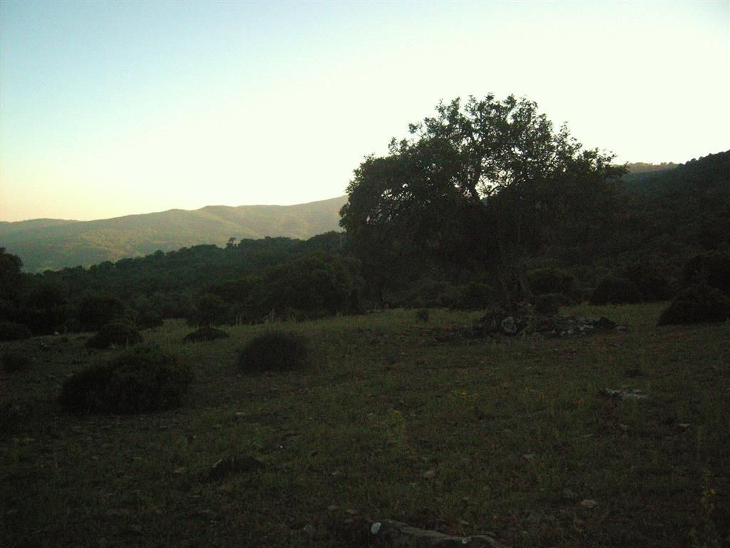 300,000 m² Plot in Cortes de la Frontera - Photo 9