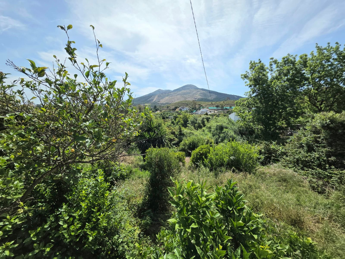 4 Bedroom Country house in Alhaurín el Grande - Photo 71