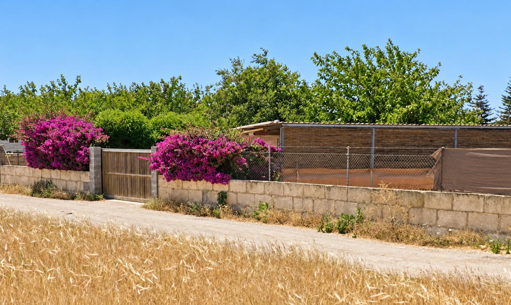 Villa con 1 camera a Baleari, Spagna – Foto 18