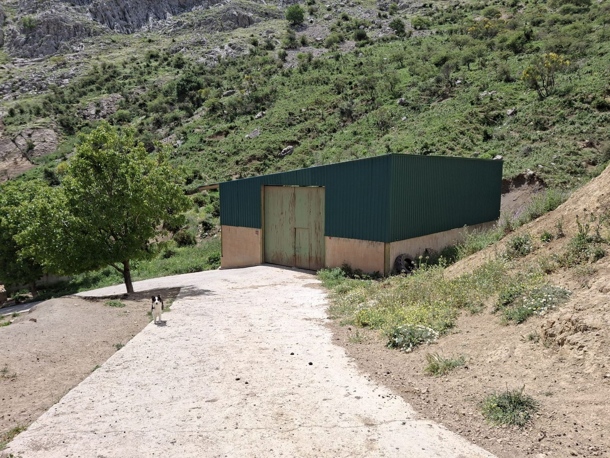 680,000 m² Plot in Alfarnatejo - Photo 18