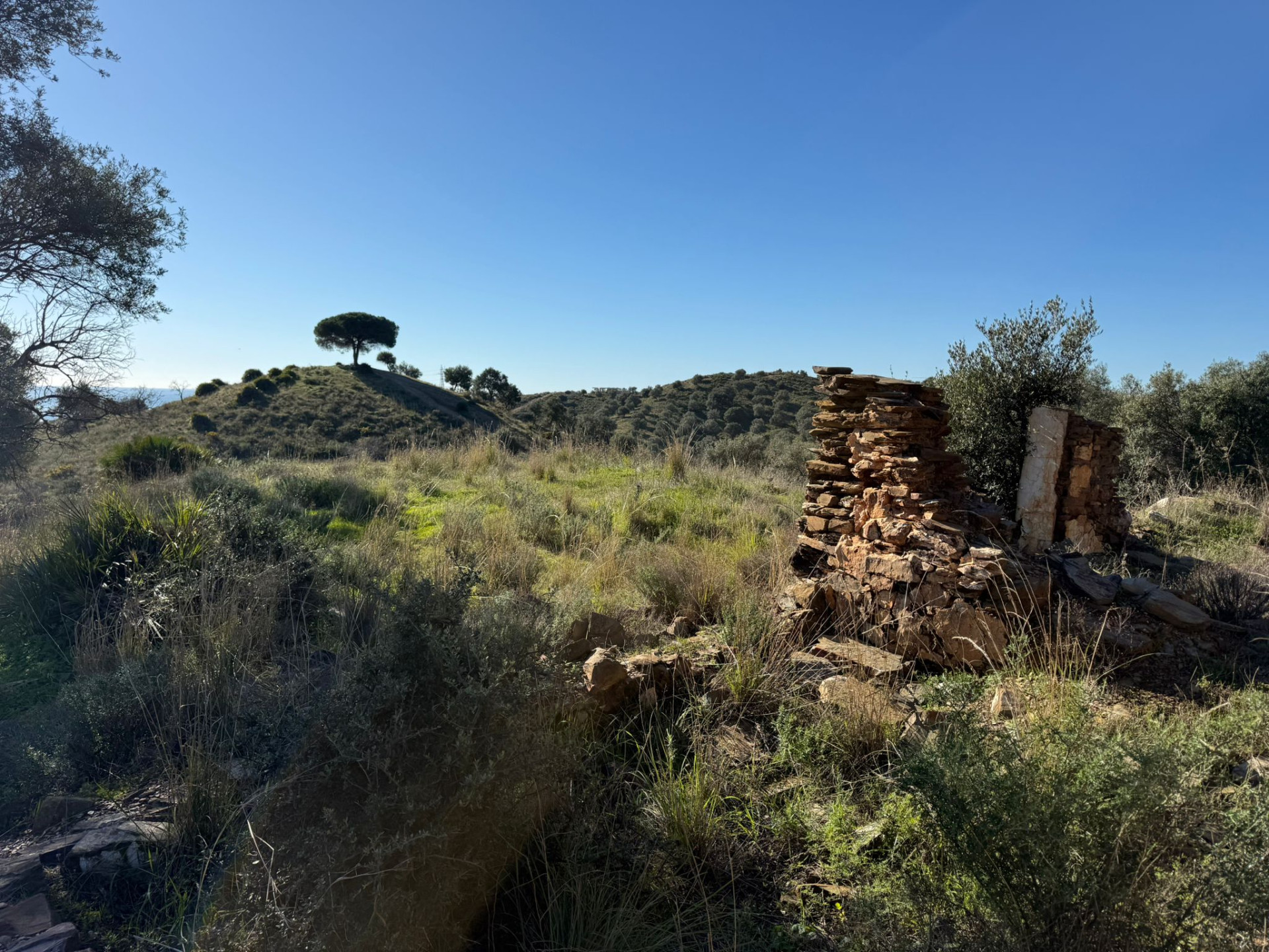 90,882 m² Plot in Mijas - Photo 9
