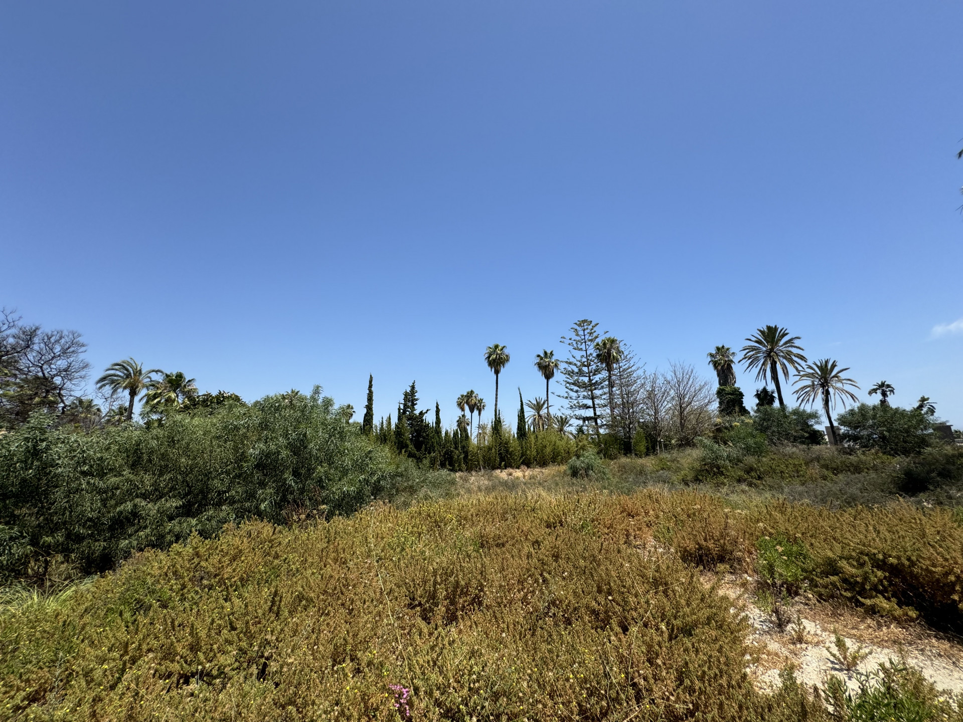 3,607 m² Plot in Marbella - Photo 7