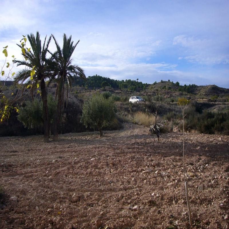 Villa con 3 camere a Murcia, Spagna – Foto 9
