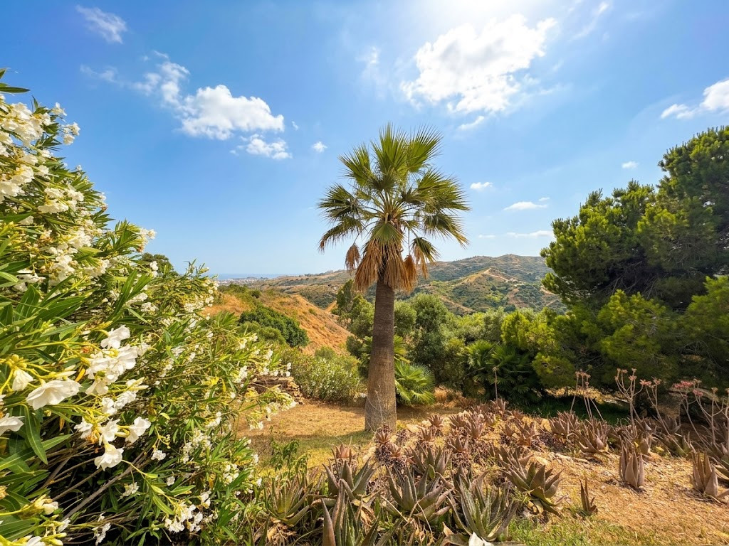 6 Bedroom Villa in Mijas - Photo 14