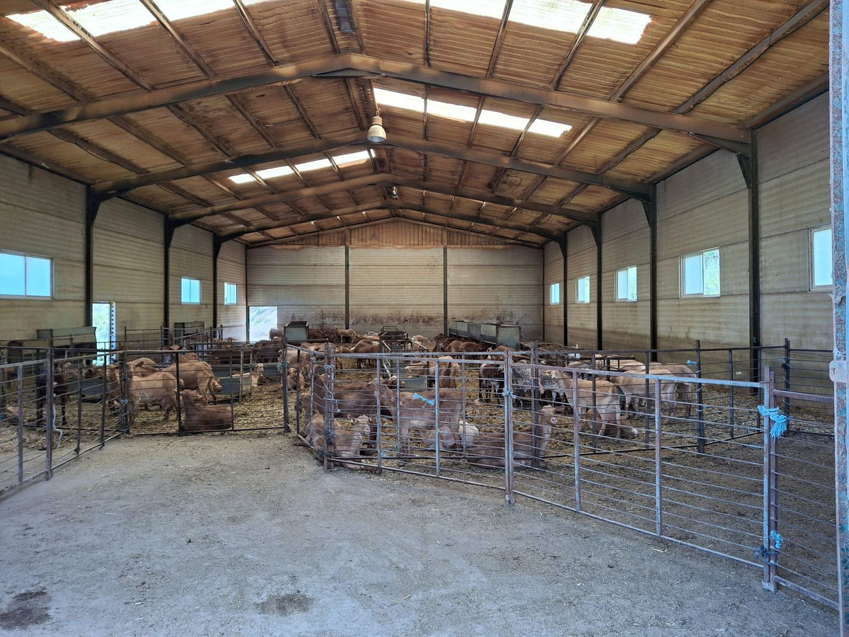 680,000 m² Plot in Alfarnatejo - Photo 16