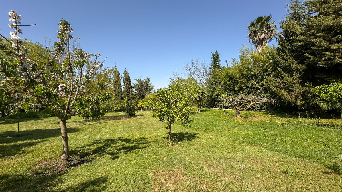 3 Bedroom Country house in Alhaurín el Grande - Photo 48