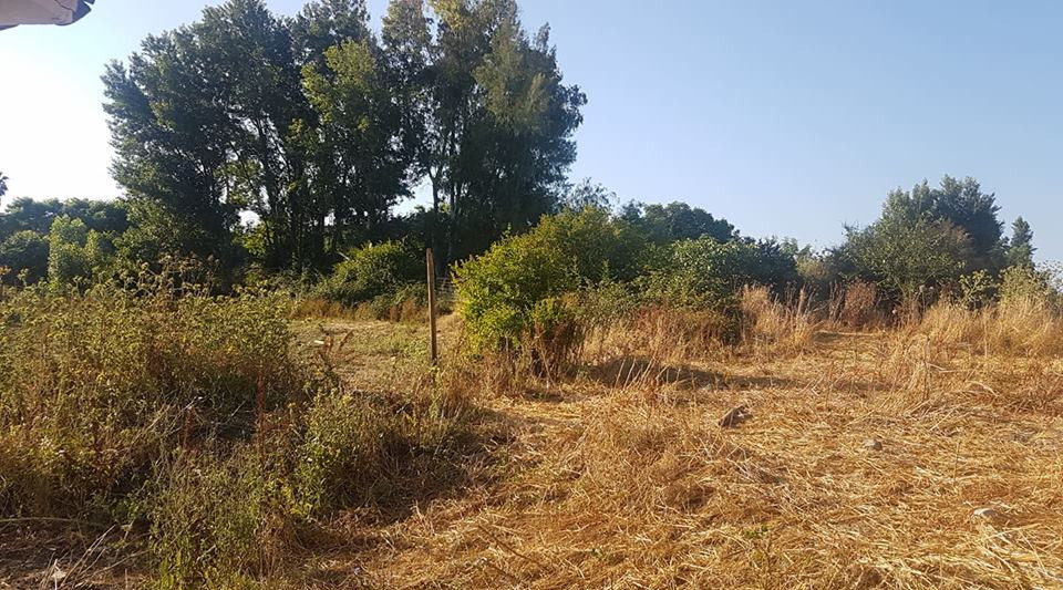 2,900 m² Plot in Coín - Photo 4