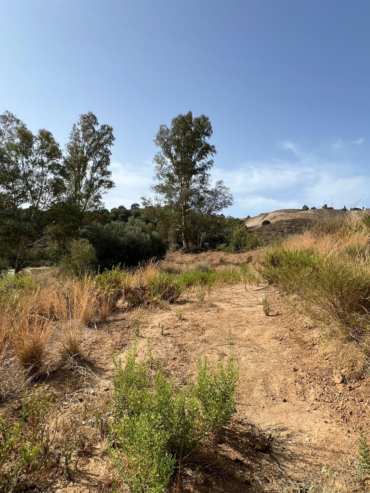 13,000 m² Plot in Mijas - Photo 15