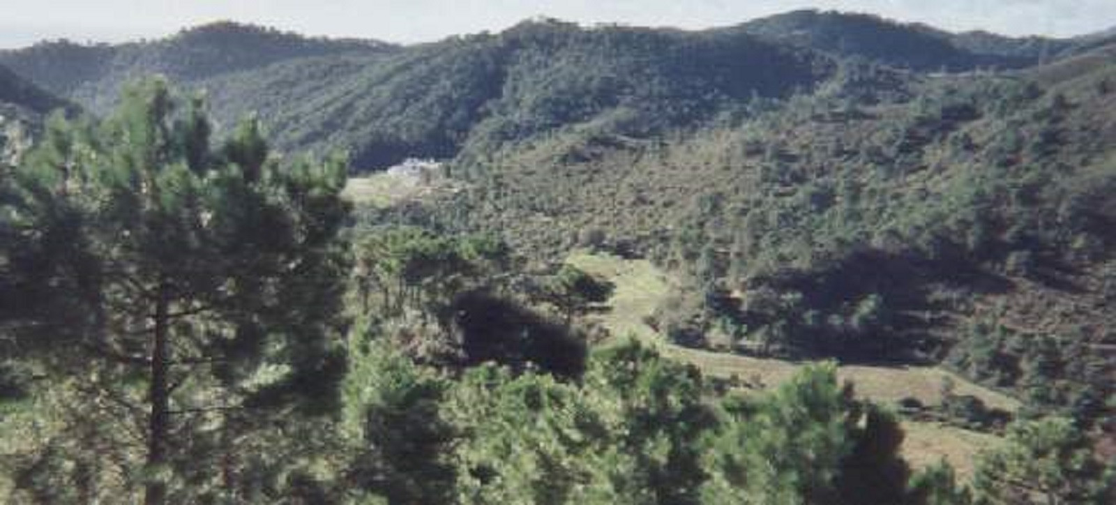 95,000 m² Plot in Estepona - Photo 4