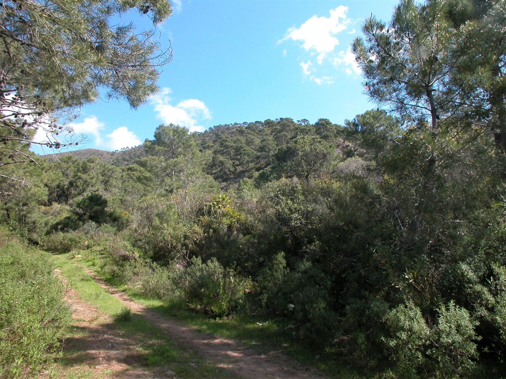 4 Bedroom Country house in Estepona - Foto 9