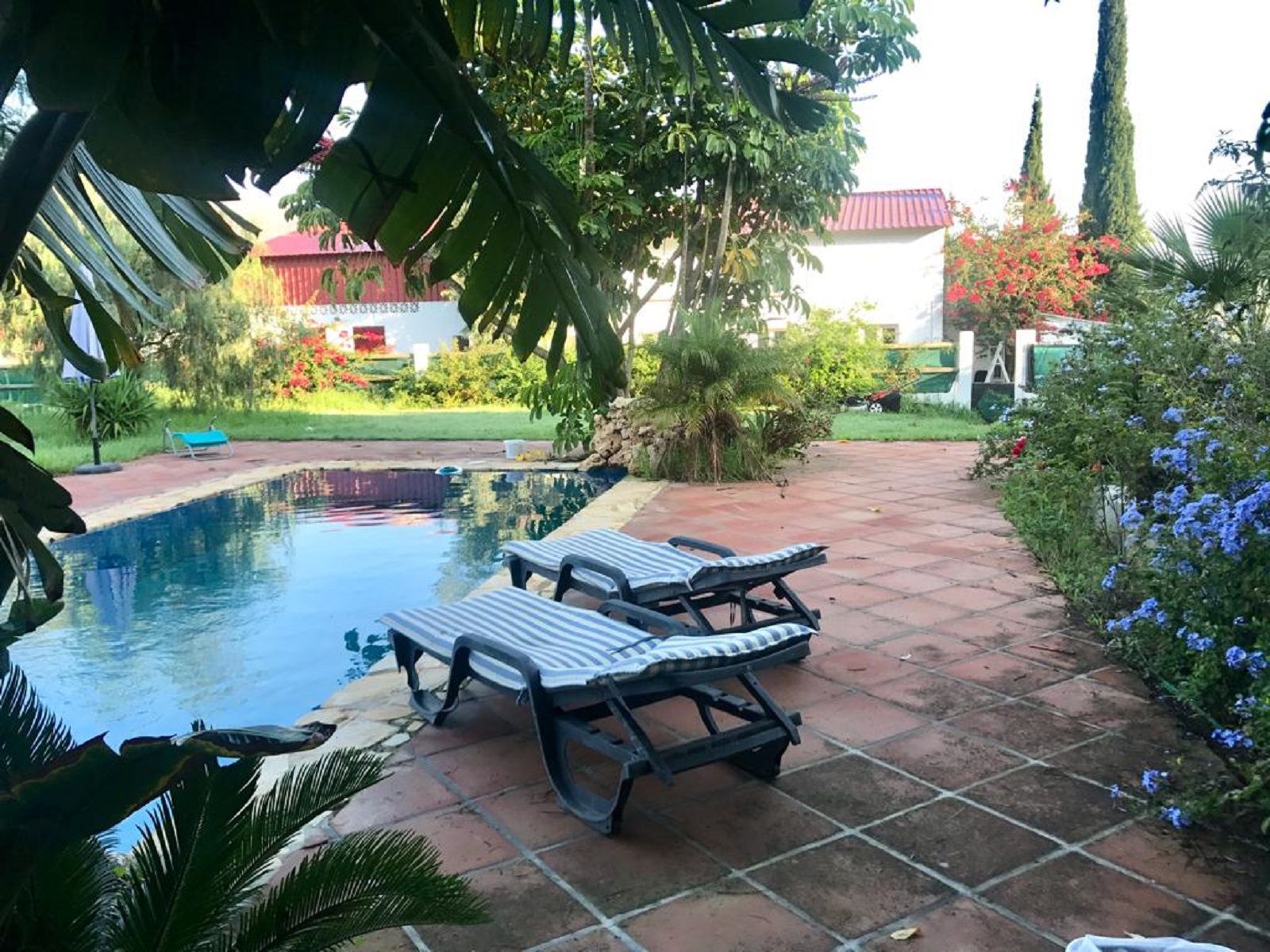 11 Bedroom Country house in Mijas - Foto 36