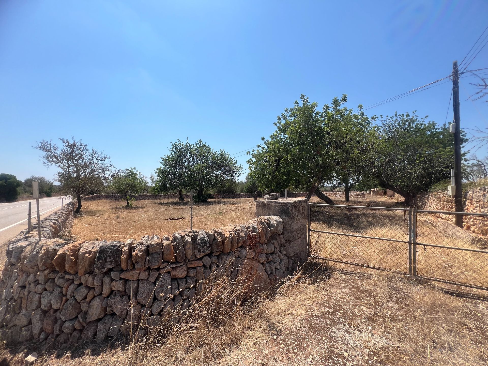 Plot in Santanyi