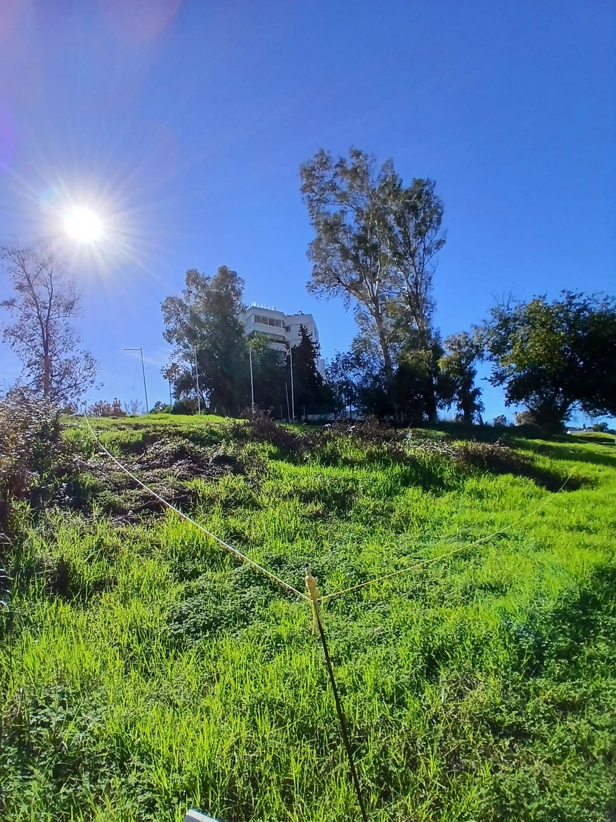 1,050 m² Plot in San Pedro de Alcántara - Photo 8