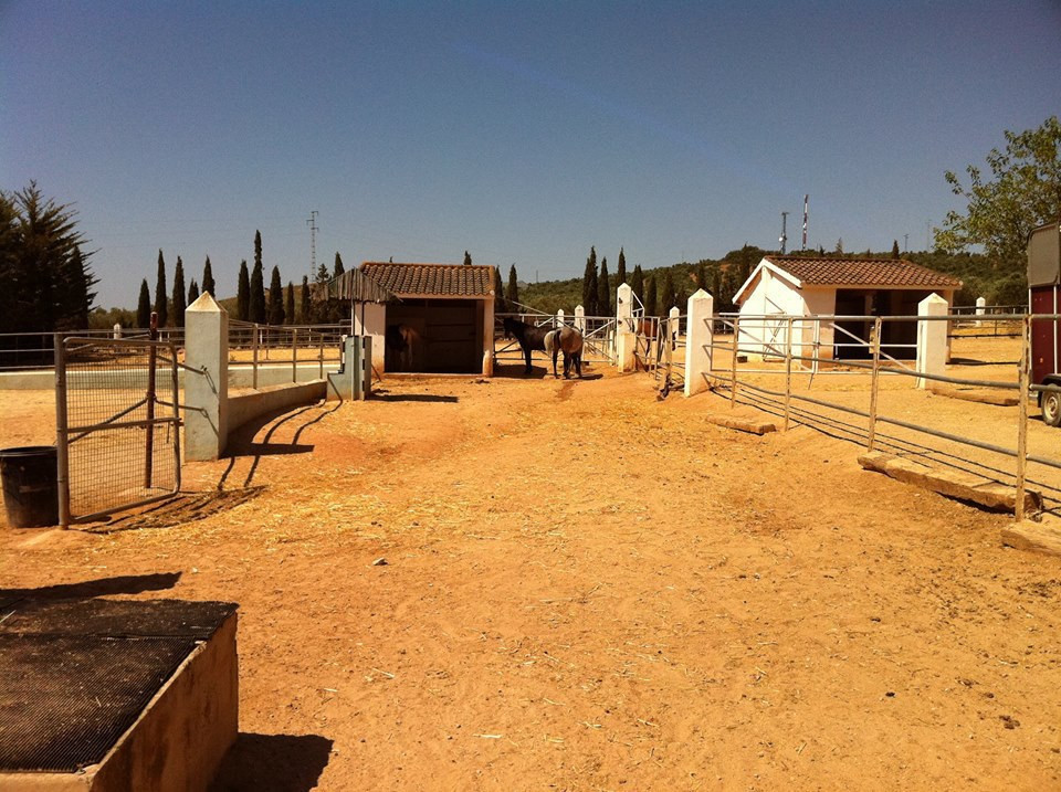 8 Bedroom Country house in Antequera - Photo 6
