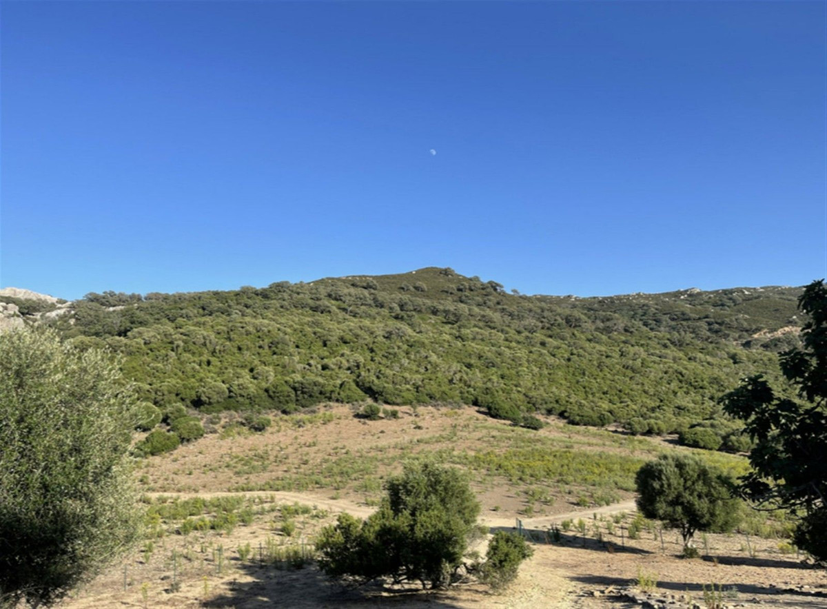 Villa de 3 chambres à Cadix, Espagne – Photo 3