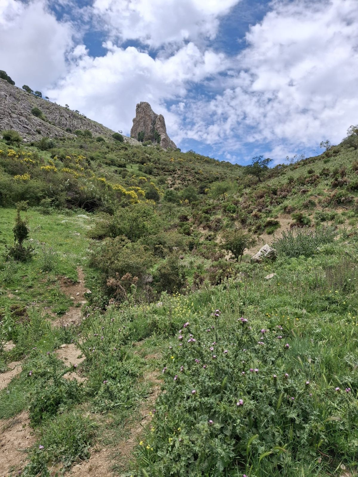 680,000 m² Plot in Alfarnatejo - Photo 18