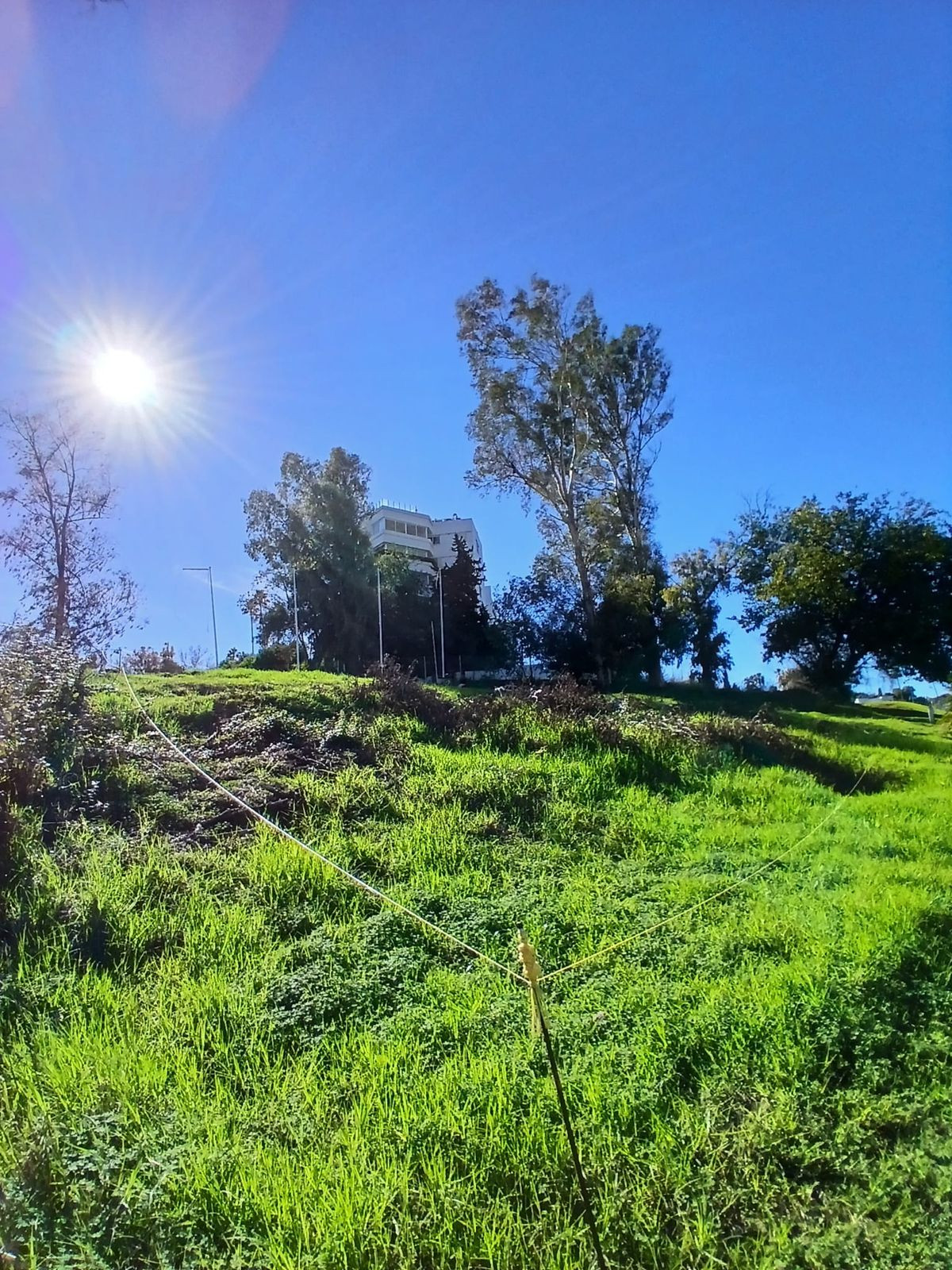 1,050 m² Plot in San Pedro de Alcántara - Photo 6