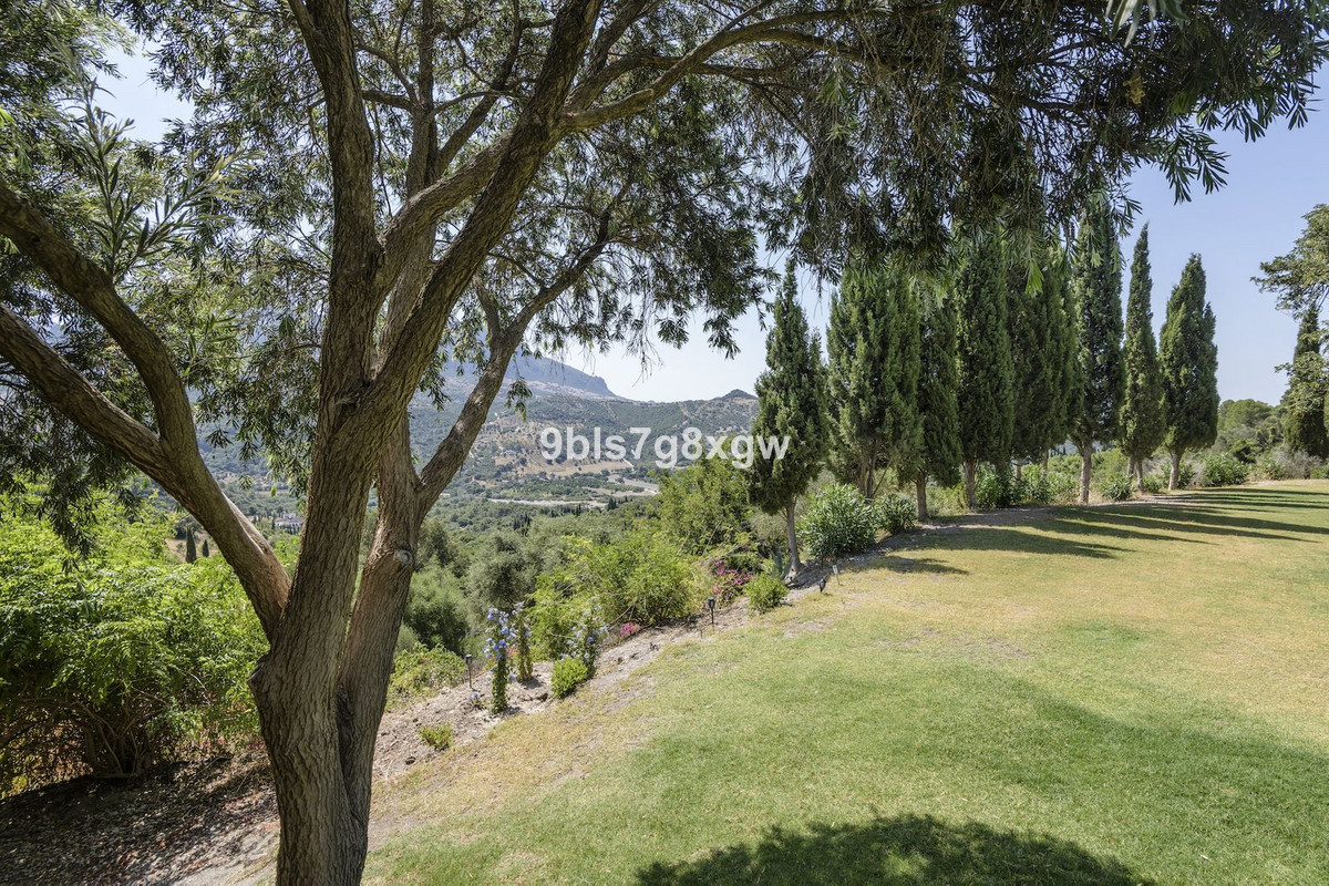 9 Bedroom Country house in Gaucín - Photo 30