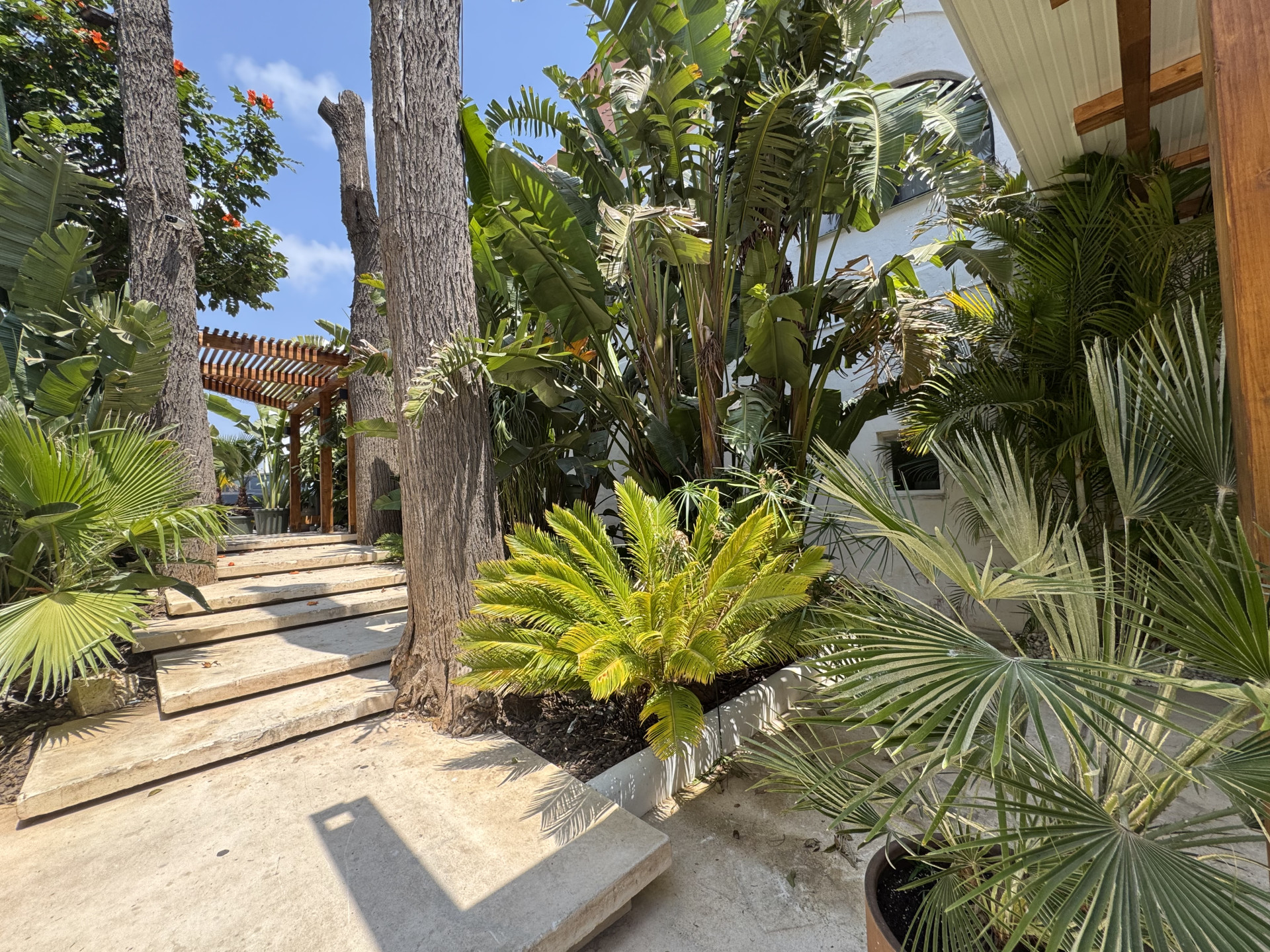 Gewerbefläche in Málaga, Spanien – Foto 5