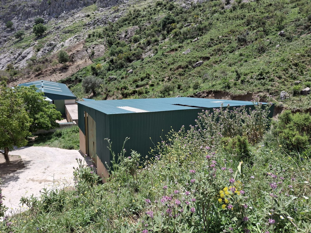 680,000 m² Plot in Alfarnatejo - Photo 21