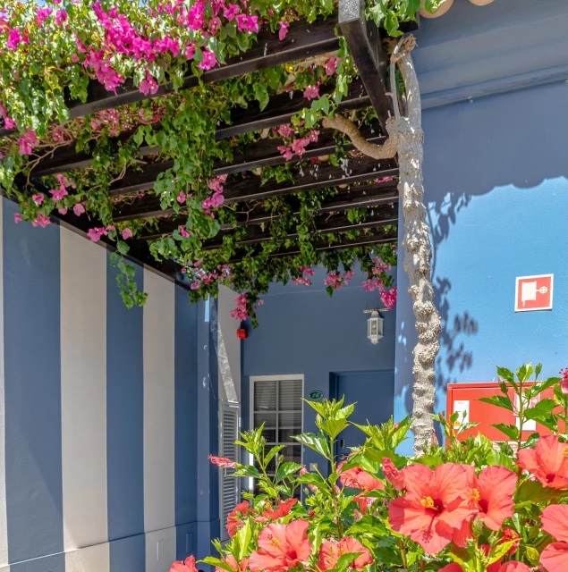 Gewerbefläche mit Pool in Spanien – Foto 17