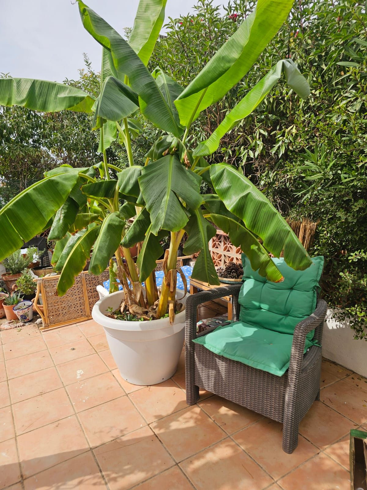 3 Bedroom Villa in Manilva - Photo 3